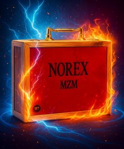 هدلایت برند mzm مدل norex